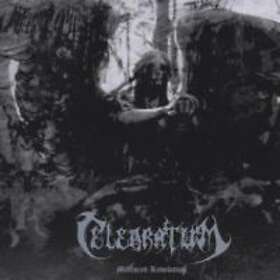 Celebratum: Mirrored Revelation CD