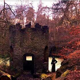 Josiah: Out Of The First Rays (Tri-colour) (Vinyl)