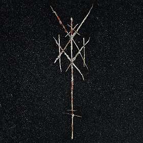 Wiegedood: There's always blood at the end... (Vinyl)