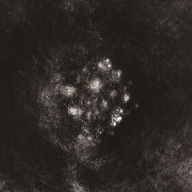 Saffronkeira: A New Life Part I (Vinyl)