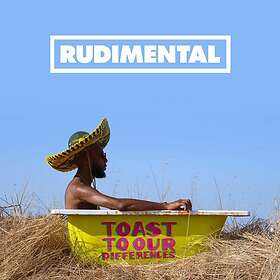 Rudimental: Toast to our differences (Vinyl)