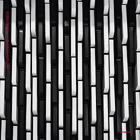 Kubinkov Anton: Whatness