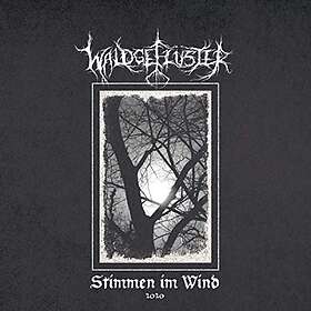 Waldgefluster: Stimmen Im Wind 2020 (Vinyl)
