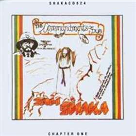 Shaka Jah: Commandments Of Dub 1