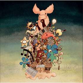 Zolle: Macello CD