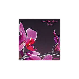 Pop Ambient 2016 CD