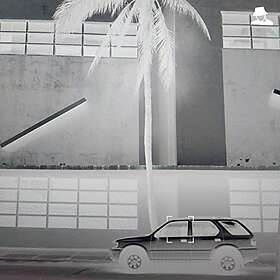 Actress: Karma & Desire CD