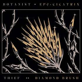 Botanist / Thief: Cicatrix / Diamond Brush CD