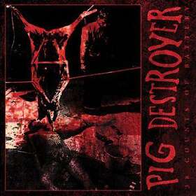 Pig Destroyer: 38 Counts Of Battery (reissue) (Vinyl)