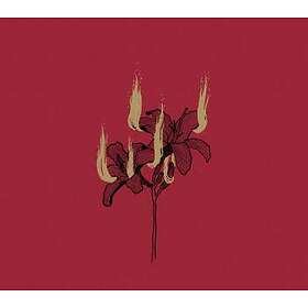 Hyrgal: Fin De Regne CD