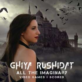 Rushidat Ghiya: All The Imaginary Video Games...