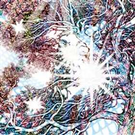 Carey Dro: Journey With The Heavy CD