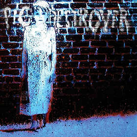 Pig Destroyer: Book Burner (Vinyl)