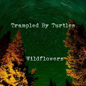 Trampled By Turtels: Wildflowers (Vinyl)