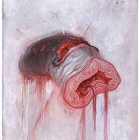 American Heritage: Prolapse CD