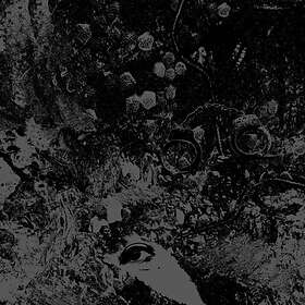 Primitive Man And Unearthly Trance: Split (Vinyl)