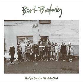 Budwig Bart: Another Burn On The Astroturf LP