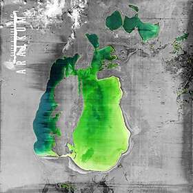 Bisengalieva Galya: Aralkum (Vinyl)