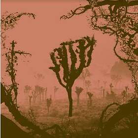 Kettel: My Dogan (Vinyl)