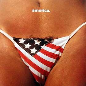 Black Crowes: Amorica 1994