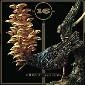 16: Dream Squasher CD