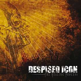 Despised Icon: The Healing Process (Vinyl)
