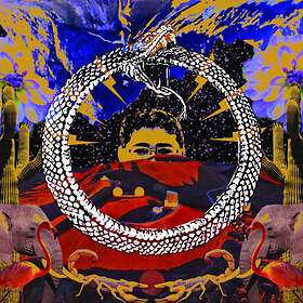 Stone House On Fire: Neverending Cycle (Vinyl)