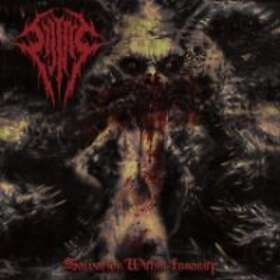 Sijjeel: Salvation Within Insanity CD