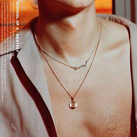 School Of X: Destiny