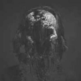 Sarke: Bogefod (Vinyl)