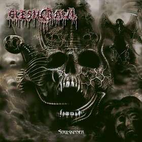 Fleshcrawl: Soulskinner (Vinyl)