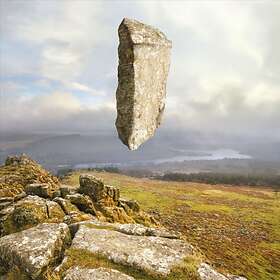 Fraxinus: Position Displacement (Vinyl)