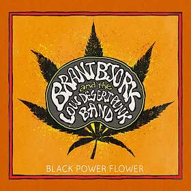 Bjork Brant & The Low Desert Punk B: Black Po... CD