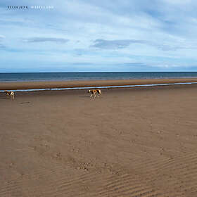 Jung Elias: Wasteland CD