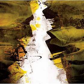 Lizzard: Eroded (Vinyl)