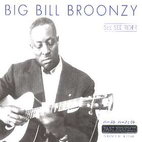 Broonzy Big Bill: See see rider 1934-35 CD