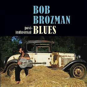 Brozman Bob: Post-industrial Blues