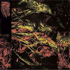 Hissing: Permanent Destitution CD