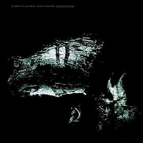 Villalobos Ricardo & Samuel Rohrer: microges... (Vinyl)