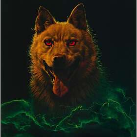 Ohn Yuji: Golden Dog (Original Soundtrack)