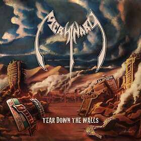 Mersinary: Tear Down The Walls CD