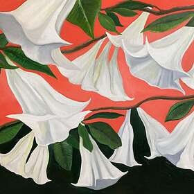 Wilson Danny George: Another Place (Vinyl)