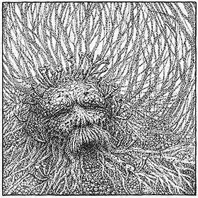 Nemorous: Nemorous (Vinyl)