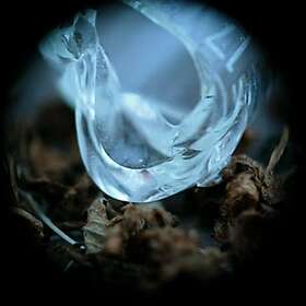 Ossicles Mantelpiece CD
