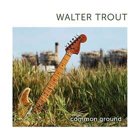 Trout Walter: Common Ground CD