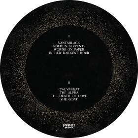 Dool: Here Now There Then (Picturedisc) (Vinyl)