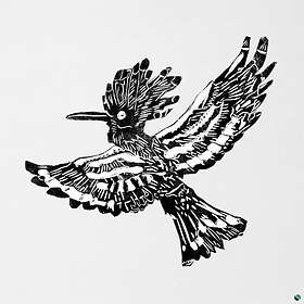 Alpha Steppa: 3rd Kingdom