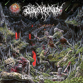 Outer Heaven: Realms Of Eternal Decay (Vinyl)