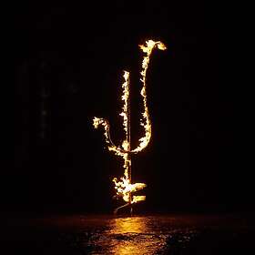 Demon Head: Hellfire Ocean Void (Vinyl)