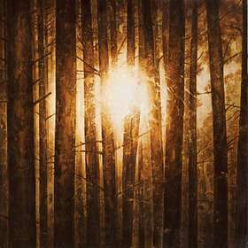 In Mourning: Echoes (Vinyl)